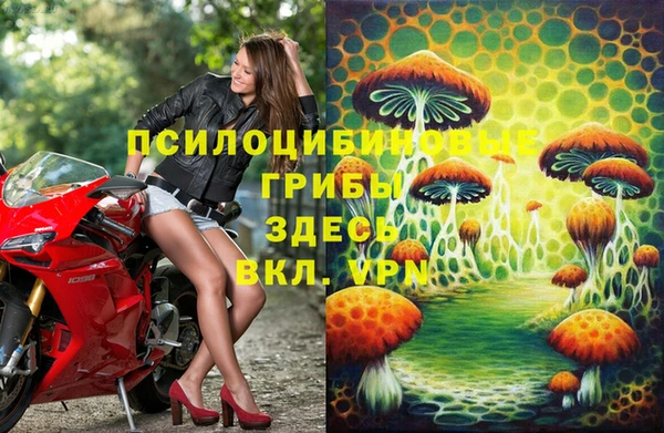 прущие грибы Михайловск