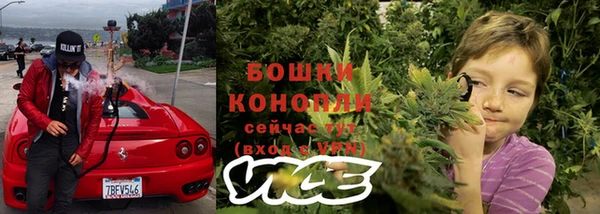 a pvp Белокуриха